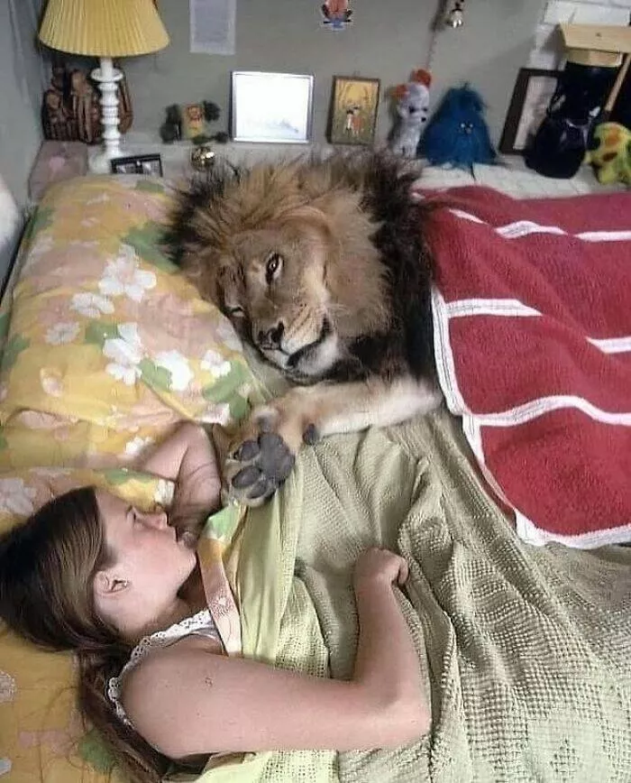 Moments bizarres captures sur le net - #36 