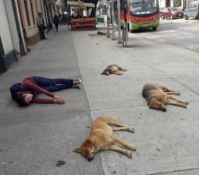 Moments bizarres captures sur le net - #45 