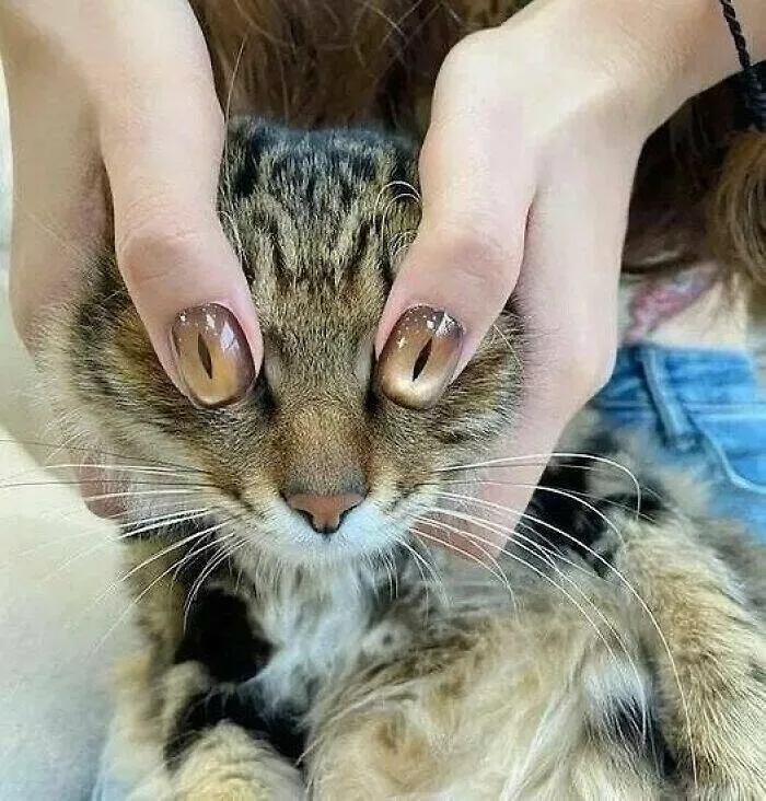 Moments bizarres captures sur le net - #48 