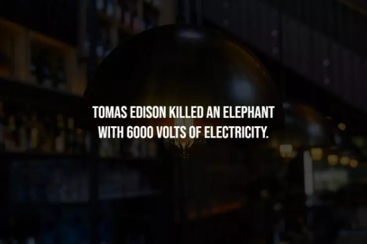 Terrifying truths you wish you never knew - #10 