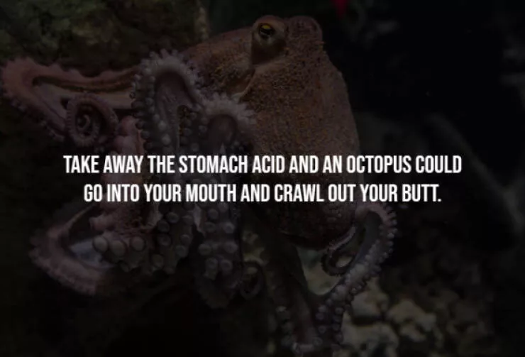 Terrifying truths you wish you never knew - #12 