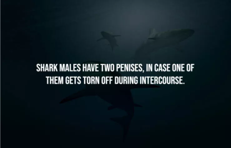 Terrifying truths you wish you never knew - #13 