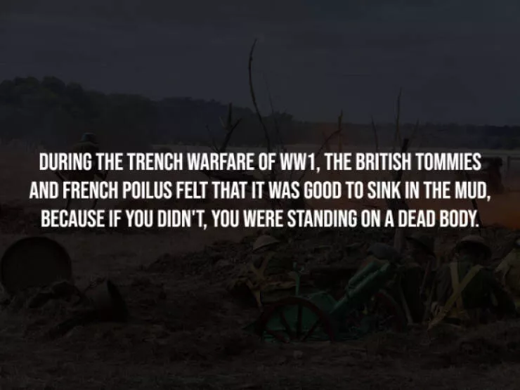 Terrifying truths you wish you never knew - #5 
