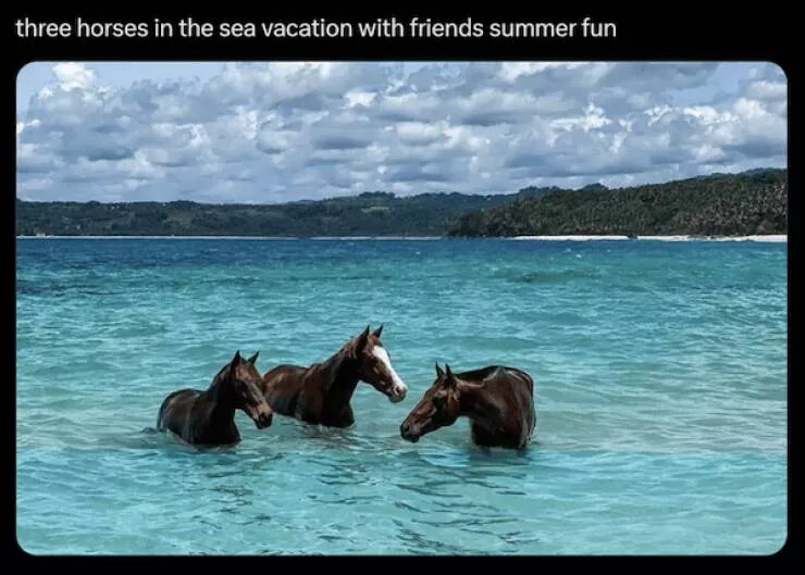 Memes animaliers hilarants et adorables - #19 