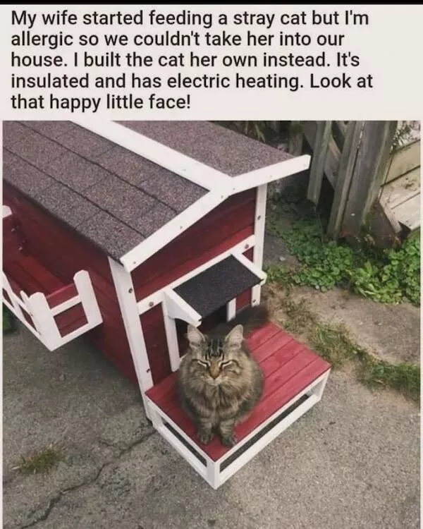 Memes animaliers hilarants et adorables - #20 