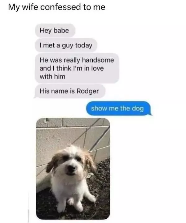 Memes animaliers hilarants et adorables - #7 