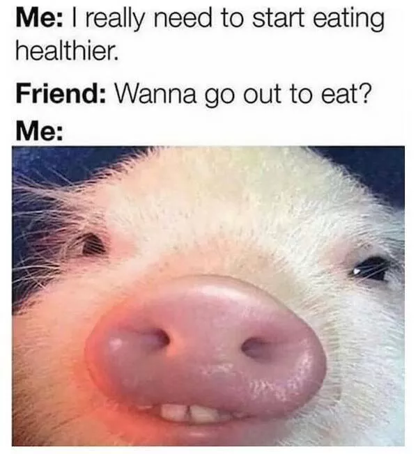 Memes animaliers hilarants et adorables - #9 