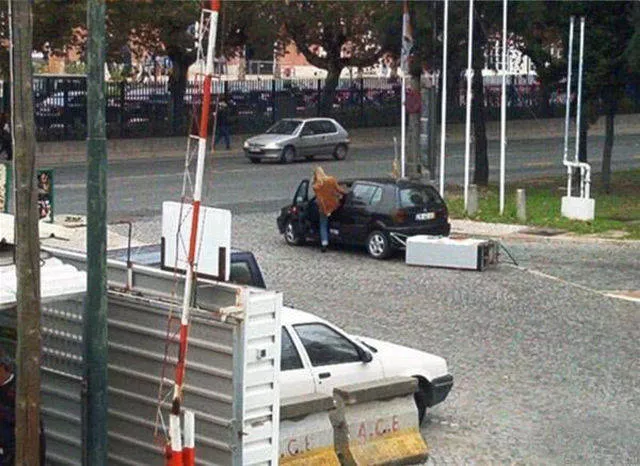 Les blondes seraient en realite les plus intelligentes - #11 