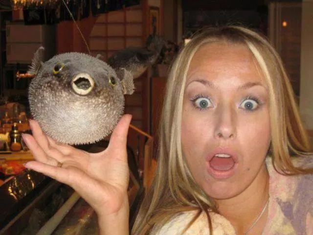 Les blondes seraient en realite les plus intelligentes - #32 