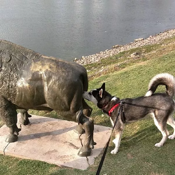 Picdump 131 - #27 