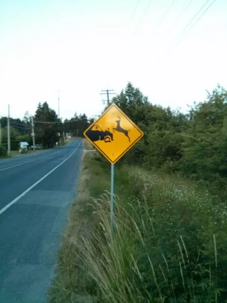 Picdump 131 - #28 