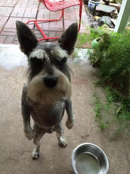Picdump 131 - #51 