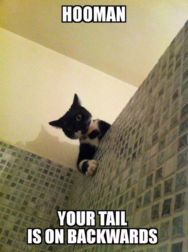 Picdump 131 - #60 