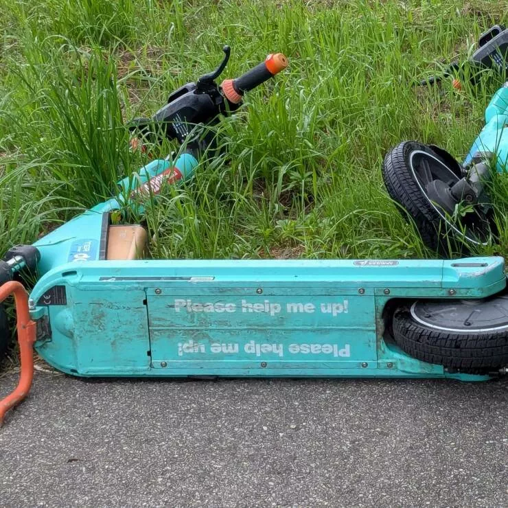 Picdump 1056 - #14 