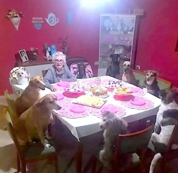Picdump 1056 - #19 