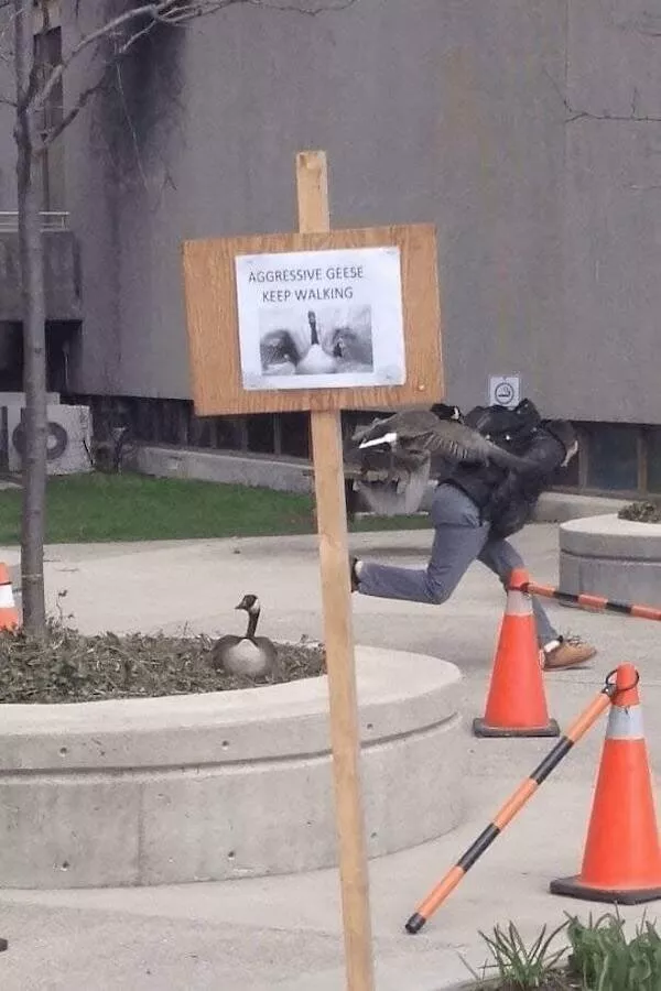 Picdump 1056 - #49 