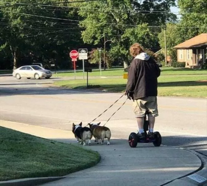 Picdump 1056 - #60 