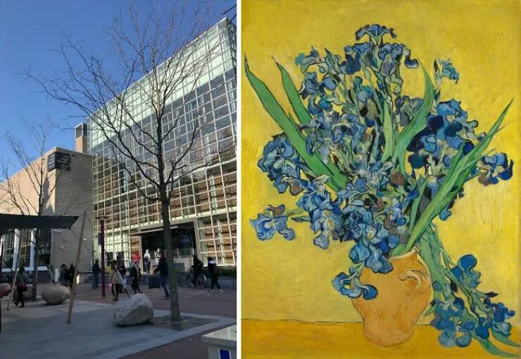Tableaux legendaires et ou les admirer - #11 Les Iris Devant un Fond Jaune par Van Gogh – Musée Van Gogh, Amsterdam