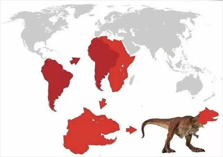 Cartes hilarantes et totalement inutiles - #13 Schéma Anatomique Pour Construire Un T-Rex Étape Par Étape