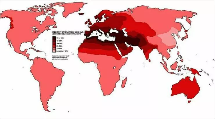 Ridiculously useless maps youll love anyway - #34 Global Ranking Of The World's Hairiest Populations Ridiculously useless maps youll love anyway - #34 Global Ranking Of The World's Hairiest Populations