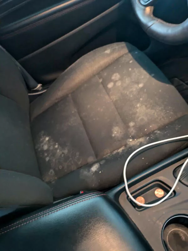 When everything goes wrong - #19 Used mom’s summer home car, found it covered in mold When everything goes wrong - #19 Used mom’s summer home car, found it covered in mold
