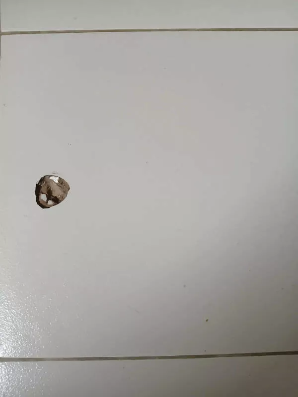 Quand les mauvaises journees frappent - #2 Ma mère a cassé le sol en essayant d’ouvrir une noix de coco