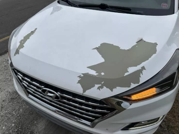 When everything goes wrong - #4 Driving through heavy rain when my car hood’s paint suddenly shattered When everything goes wrong - #4 Driving through heavy rain when my car hood’s paint suddenly shattered