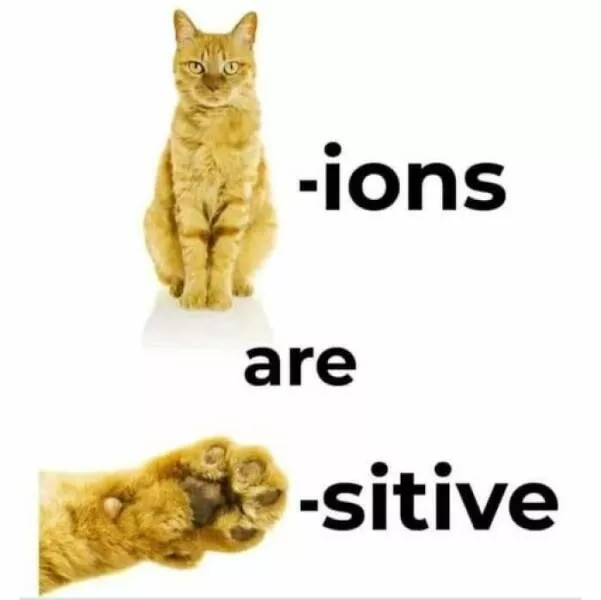 Science jokes that are seriously funny - #22 