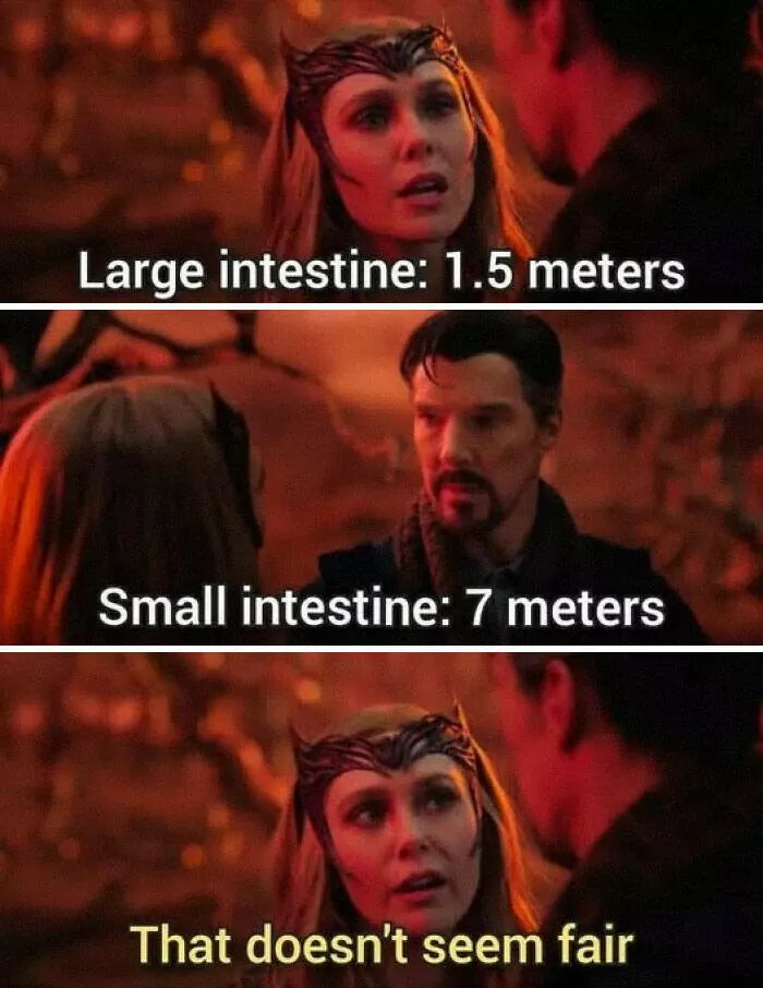 Science jokes that are seriously funny - #3 