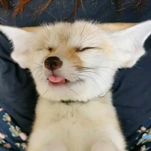 Soft funny and overflowing with love - #17 
