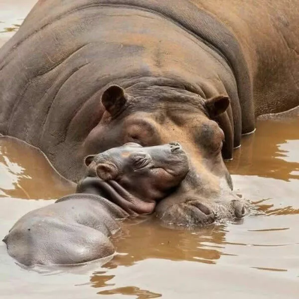 Soft funny and overflowing with love