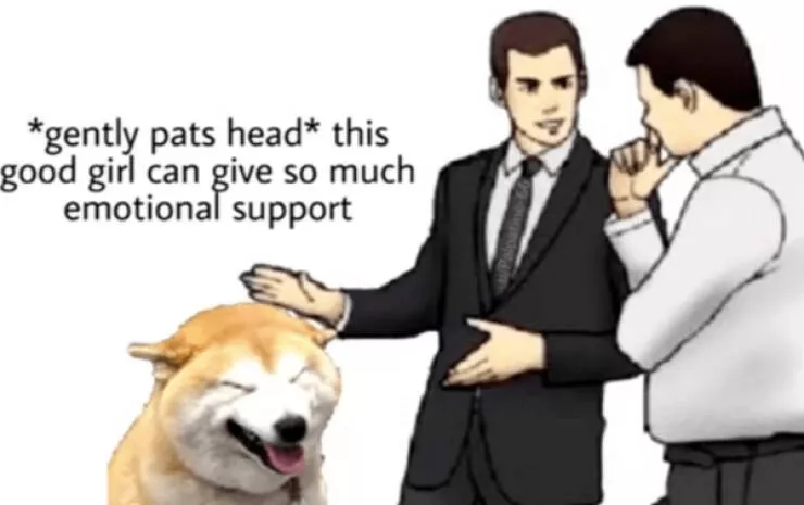 Heartwarming memes that feel like a hug - #10 
