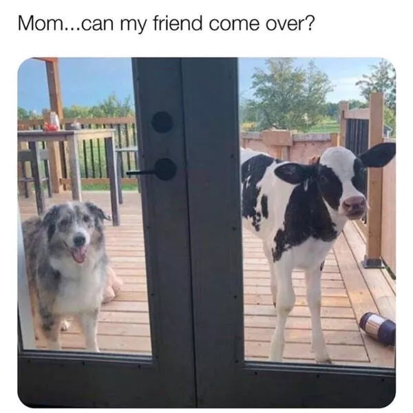 Heartwarming memes that feel like a hug - #17 