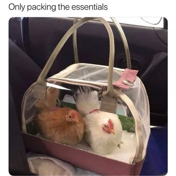Heartwarming memes that feel like a hug - #21 