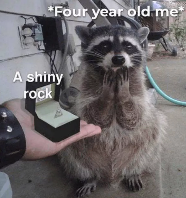 Heartwarming memes that feel like a hug - #9 