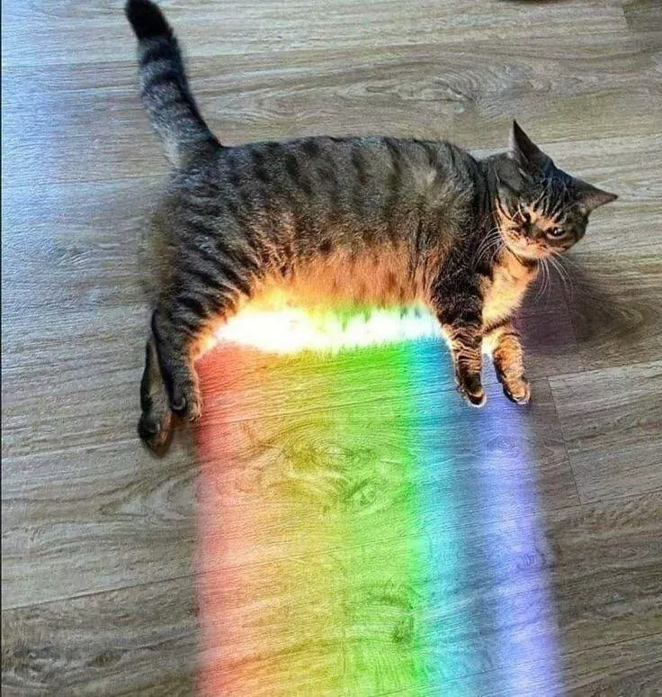 Picdump 1058