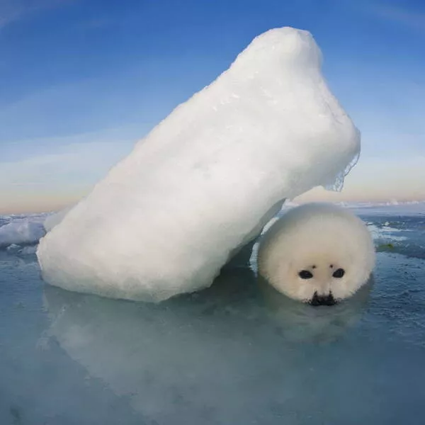 Picdump 1058 - #25 