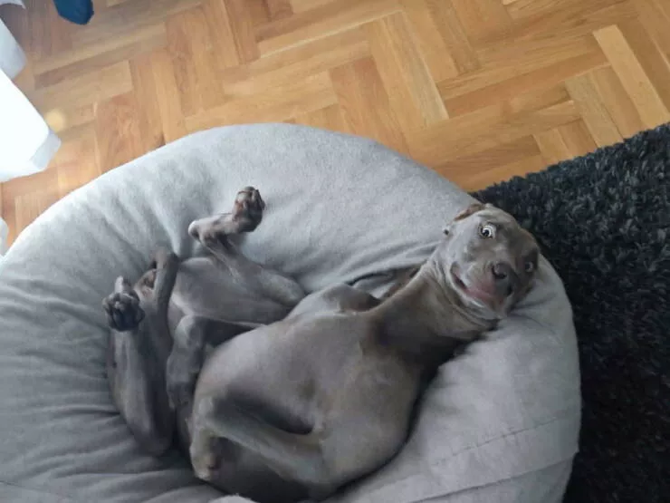 Picdump 1058 - #26 
