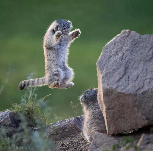 Picdump 1058 - #27 