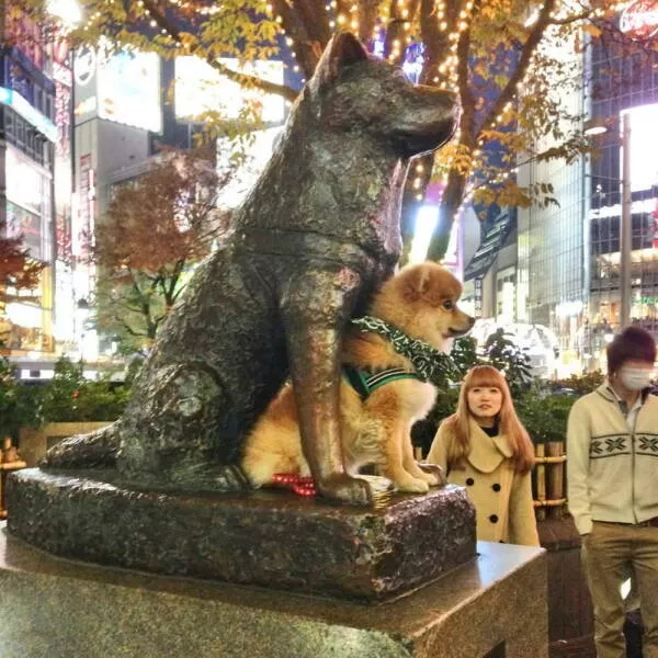 Picdump 1058 - #32 