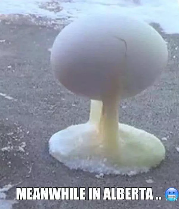 Hilarious canadian memes youll love - #21 