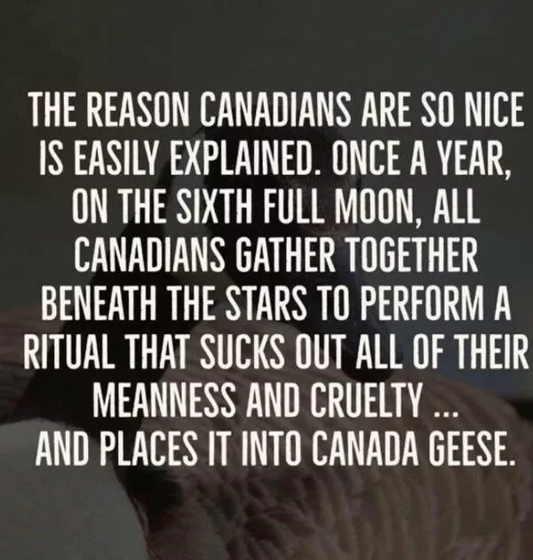 Ces memes canadiens sont a mourir de rire - #30 