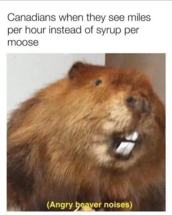 Ces memes canadiens sont a mourir de rire - #31 