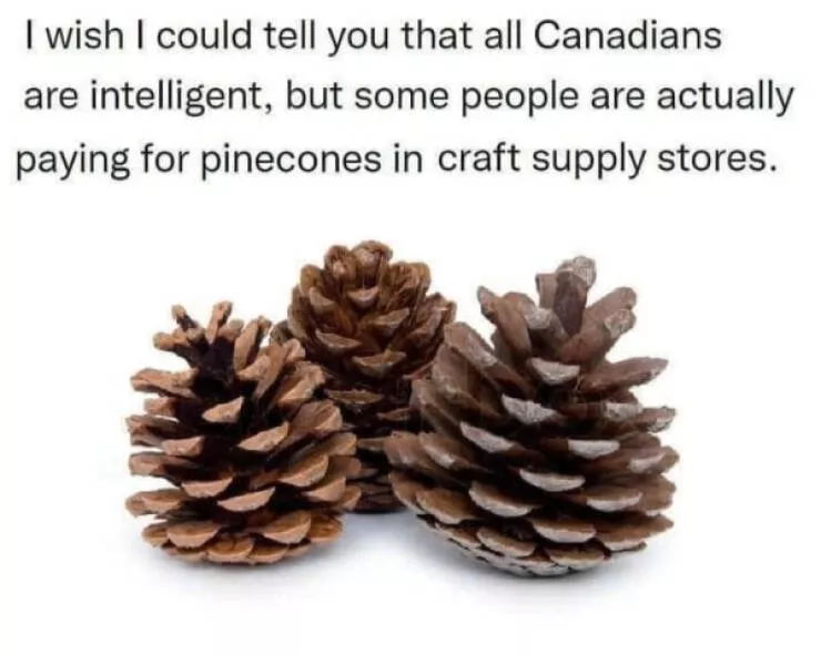 Ces memes canadiens sont a mourir de rire - #33 