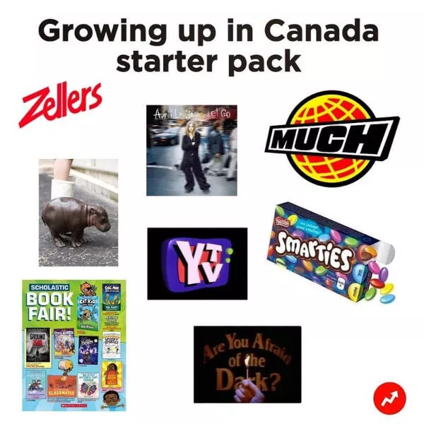 Ces memes canadiens sont a mourir de rire - #34 