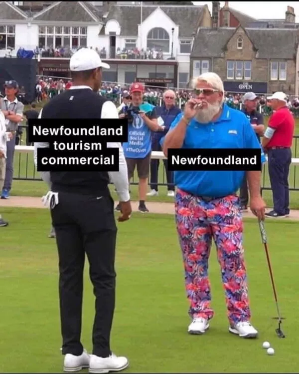 Hilarious canadian memes youll love - #5 