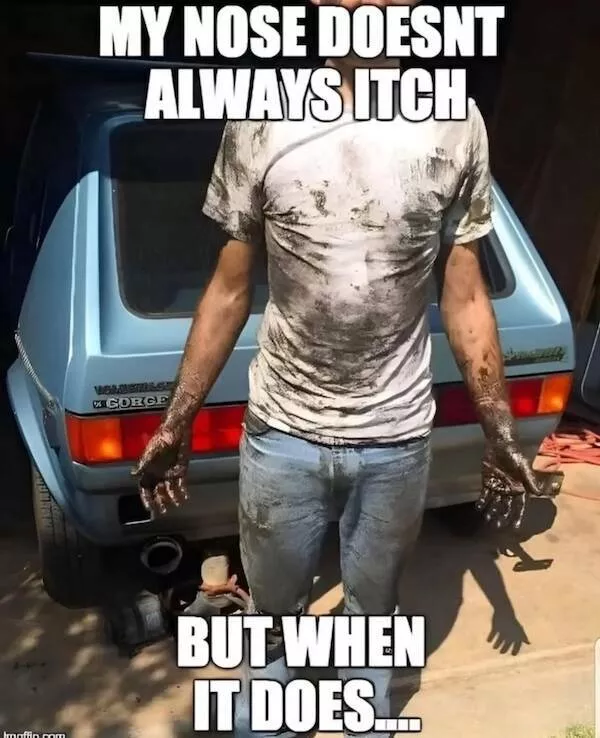 Silly yet spot on memes that hit hard
