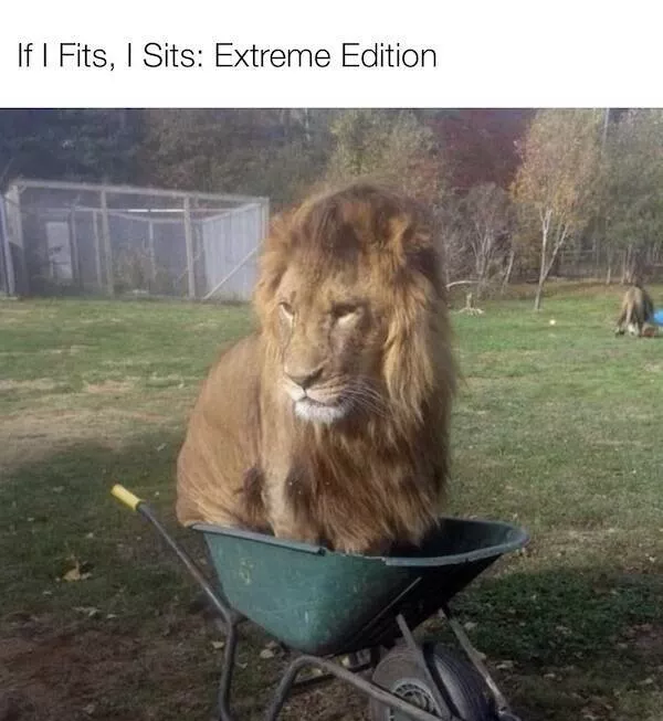 Silly yet spot on memes that hit hard - #30 Silly yet spot on memes that hit hard - #30