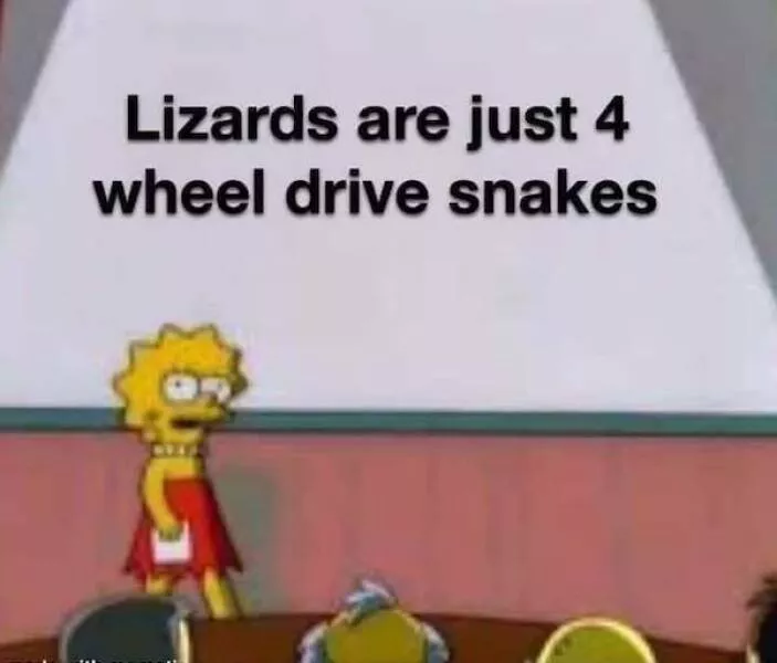 Memes absurdes mais vrais qui font mouche - #4 