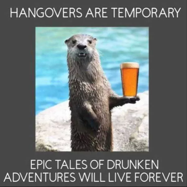 Silly yet spot on memes that hit hard - #8 